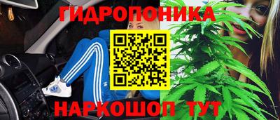 молекула духа Малоярославец